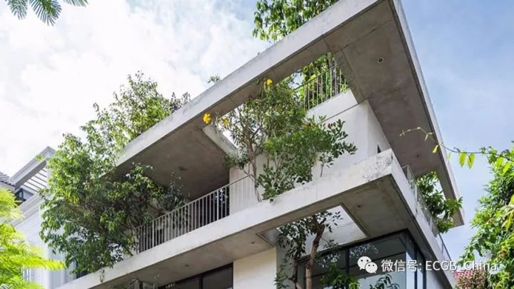 住宅里探出的绿色精灵：胡志明市植物住宅